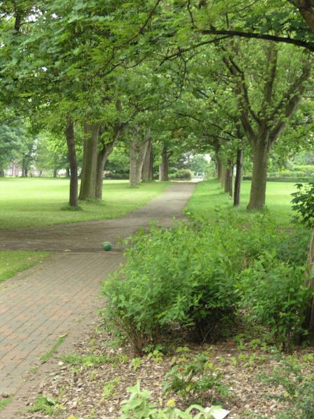 park_pathway.jpg